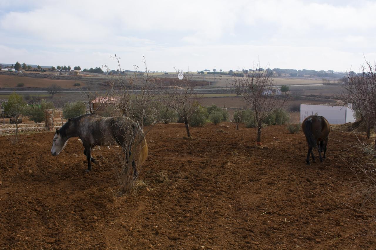 El Retiro De Cervantes Ossa de Montiel Esterno foto