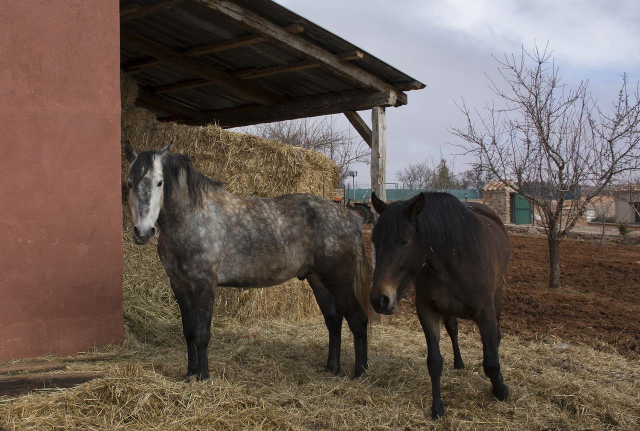 El Retiro De Cervantes Ossa de Montiel Esterno foto