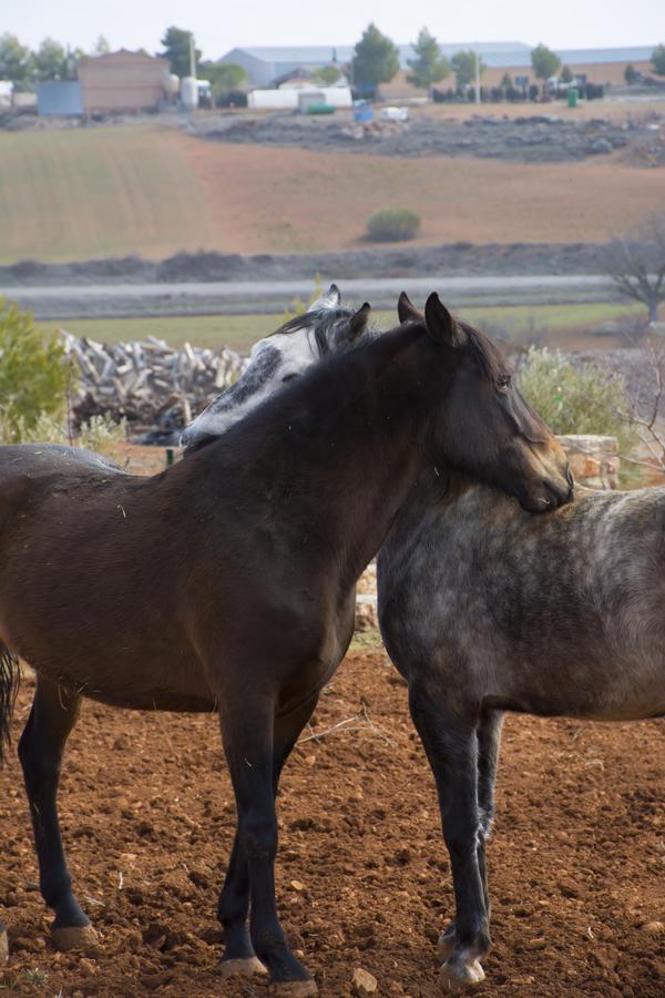 El Retiro De Cervantes Ossa de Montiel Esterno foto